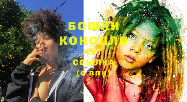 шишки Богданович
