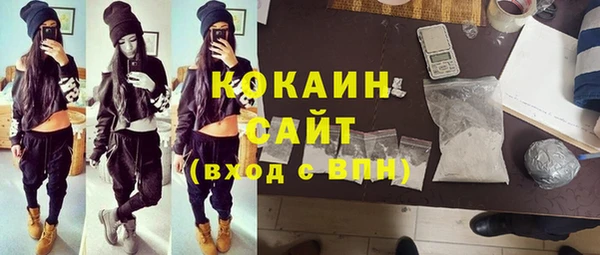 шишки Богданович
