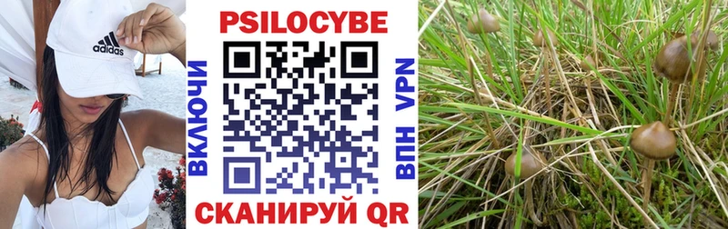 Галлюциногенные грибы ЛСД  Белоусово 